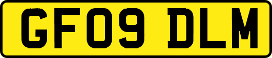 GF09DLM