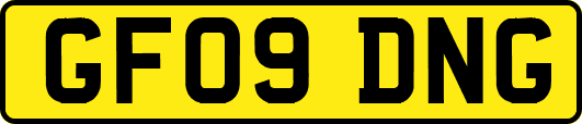 GF09DNG