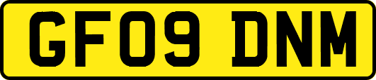 GF09DNM