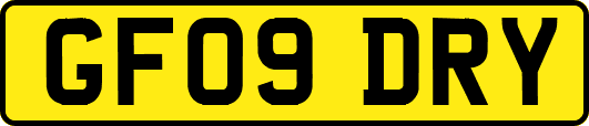 GF09DRY