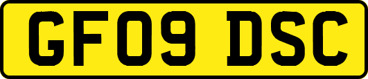 GF09DSC
