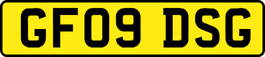 GF09DSG