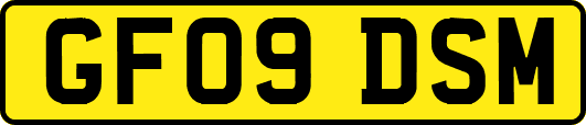 GF09DSM