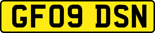 GF09DSN