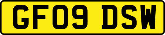 GF09DSW