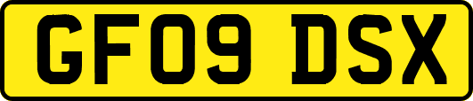 GF09DSX