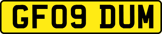 GF09DUM