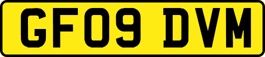 GF09DVM
