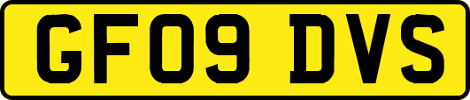 GF09DVS