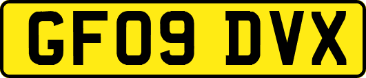 GF09DVX