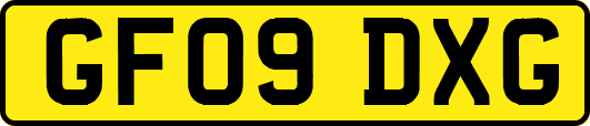 GF09DXG