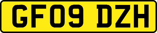 GF09DZH