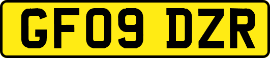 GF09DZR