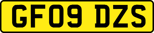 GF09DZS