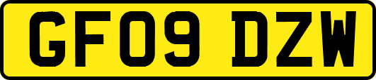 GF09DZW