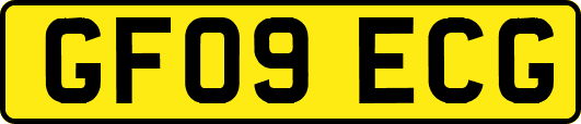 GF09ECG