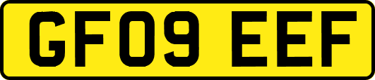 GF09EEF