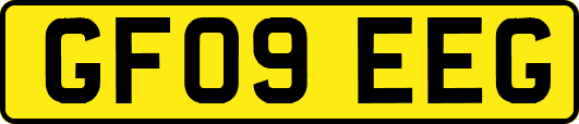 GF09EEG