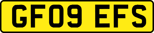 GF09EFS
