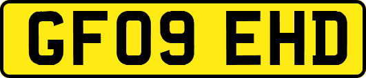 GF09EHD