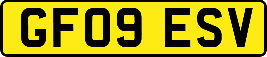 GF09ESV