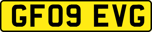 GF09EVG