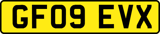 GF09EVX