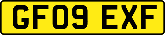 GF09EXF