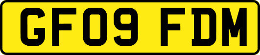 GF09FDM