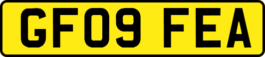 GF09FEA