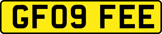 GF09FEE