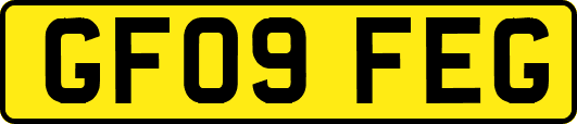 GF09FEG