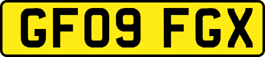 GF09FGX