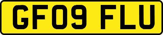 GF09FLU