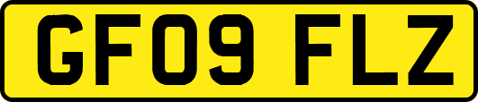 GF09FLZ