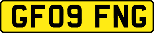 GF09FNG