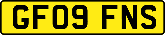 GF09FNS