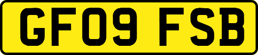 GF09FSB