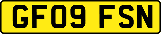 GF09FSN
