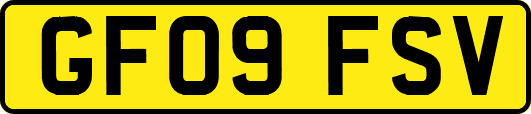 GF09FSV