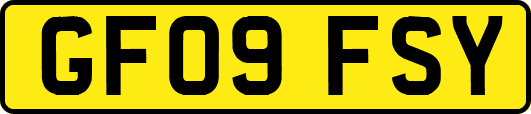 GF09FSY
