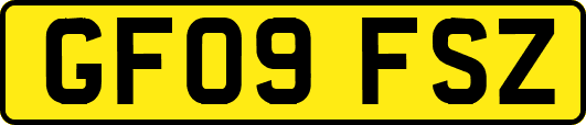 GF09FSZ