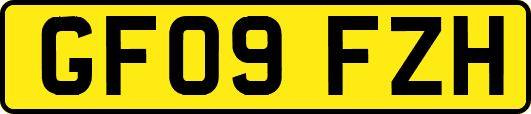 GF09FZH