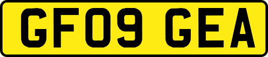 GF09GEA