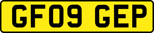 GF09GEP