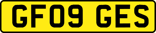 GF09GES