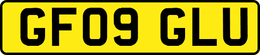 GF09GLU