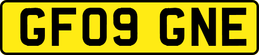 GF09GNE