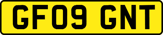 GF09GNT