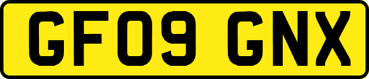 GF09GNX